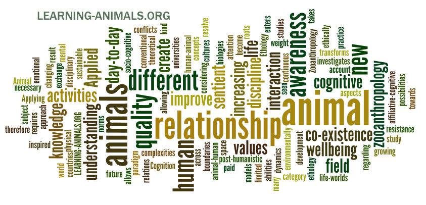 key words Learning Animals