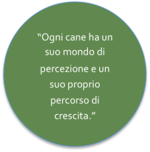 Citazione Learning Animals_Cane individuo