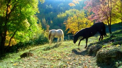 onda-pioggia-autunno